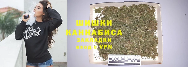 шишки Балабаново