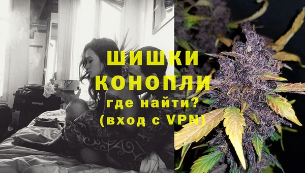 шишки Балабаново