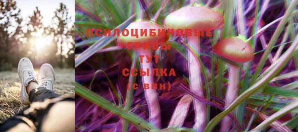 шишки Балабаново