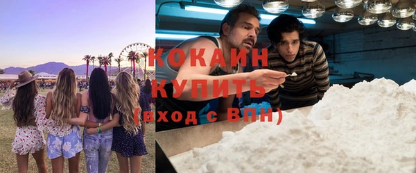 шишки Балабаново