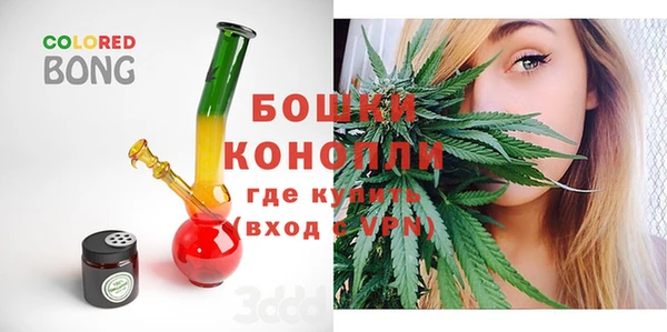шишки Балабаново
