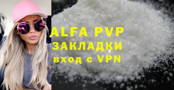 гашик Ельня