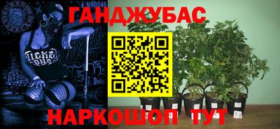 мдпв Кандалакша