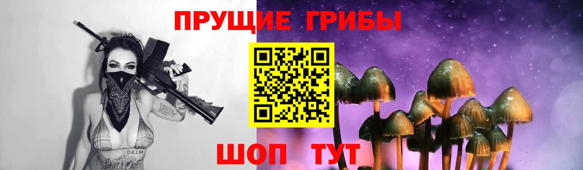 Псилоцибиновые грибы Psilocybine cubensis Кувандык